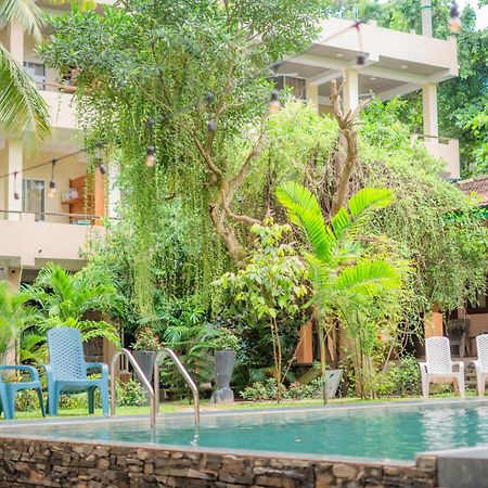 Monkey Villa Хиккадува Экстерьер фото