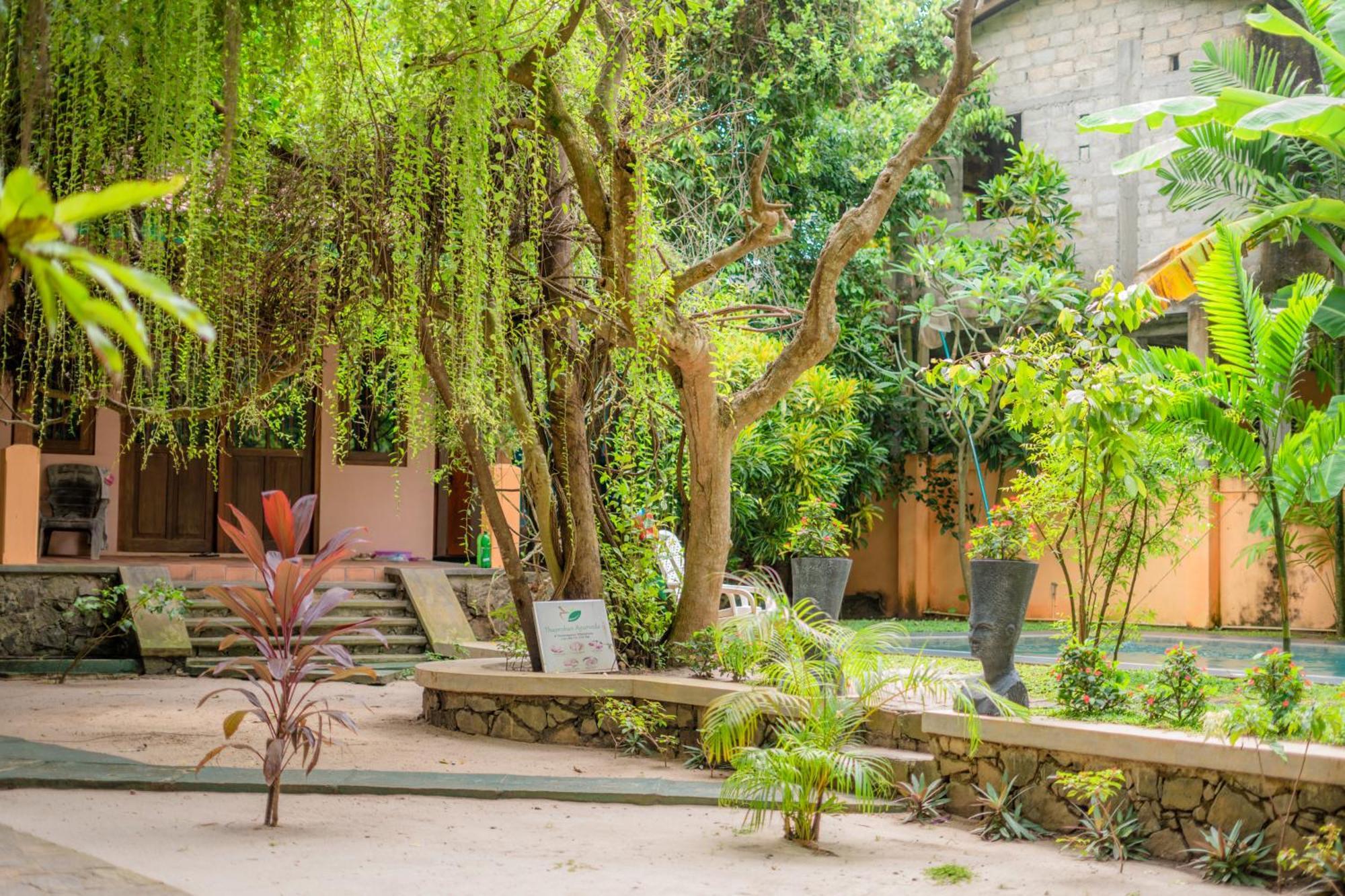 Monkey Villa Хиккадува Экстерьер фото