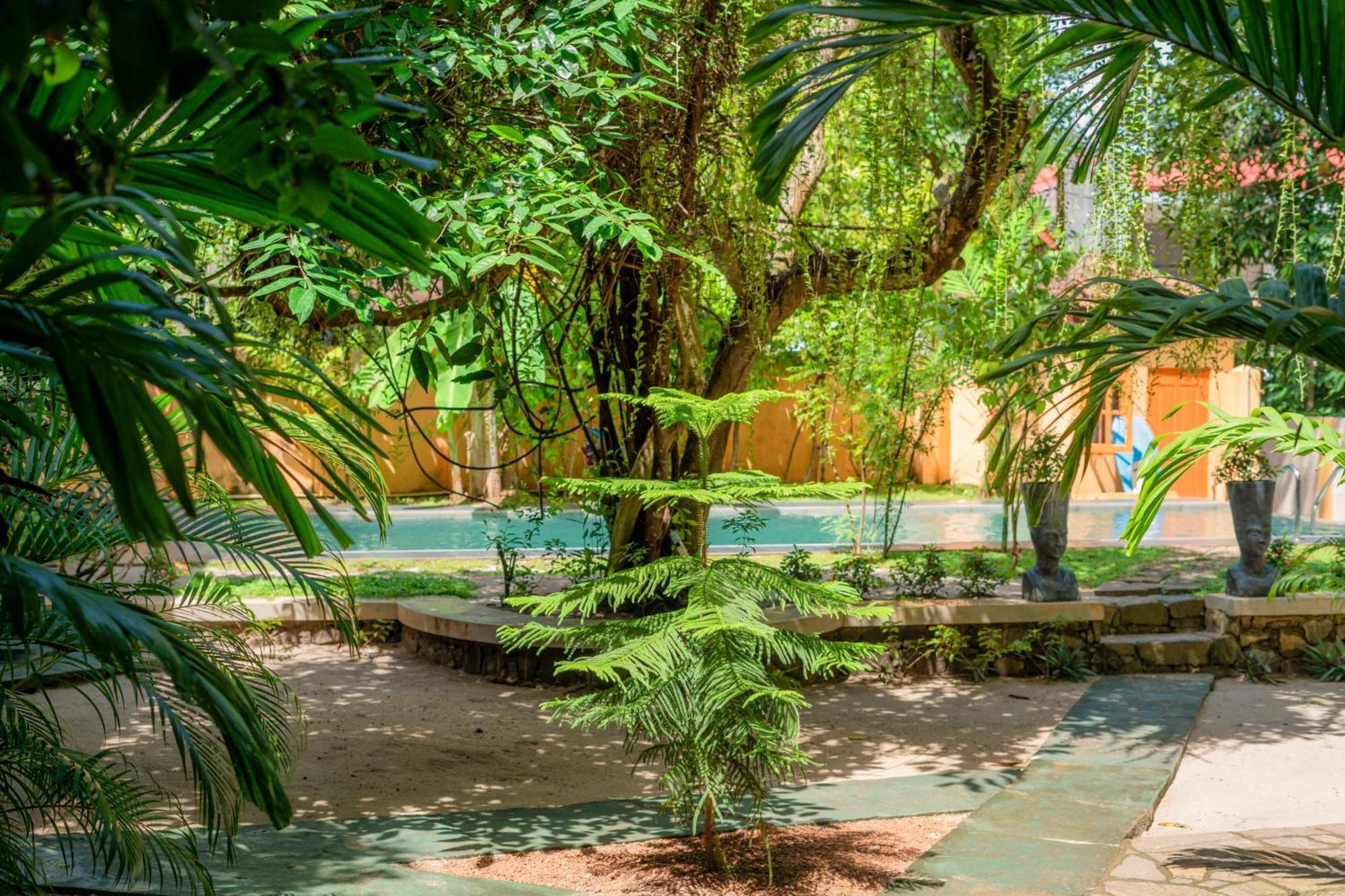 Monkey Villa Хиккадува Экстерьер фото