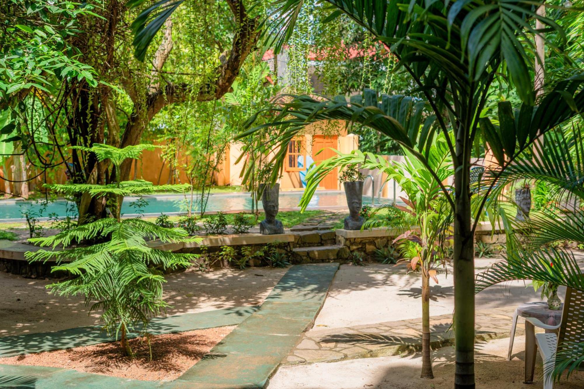 Monkey Villa Хиккадува Экстерьер фото