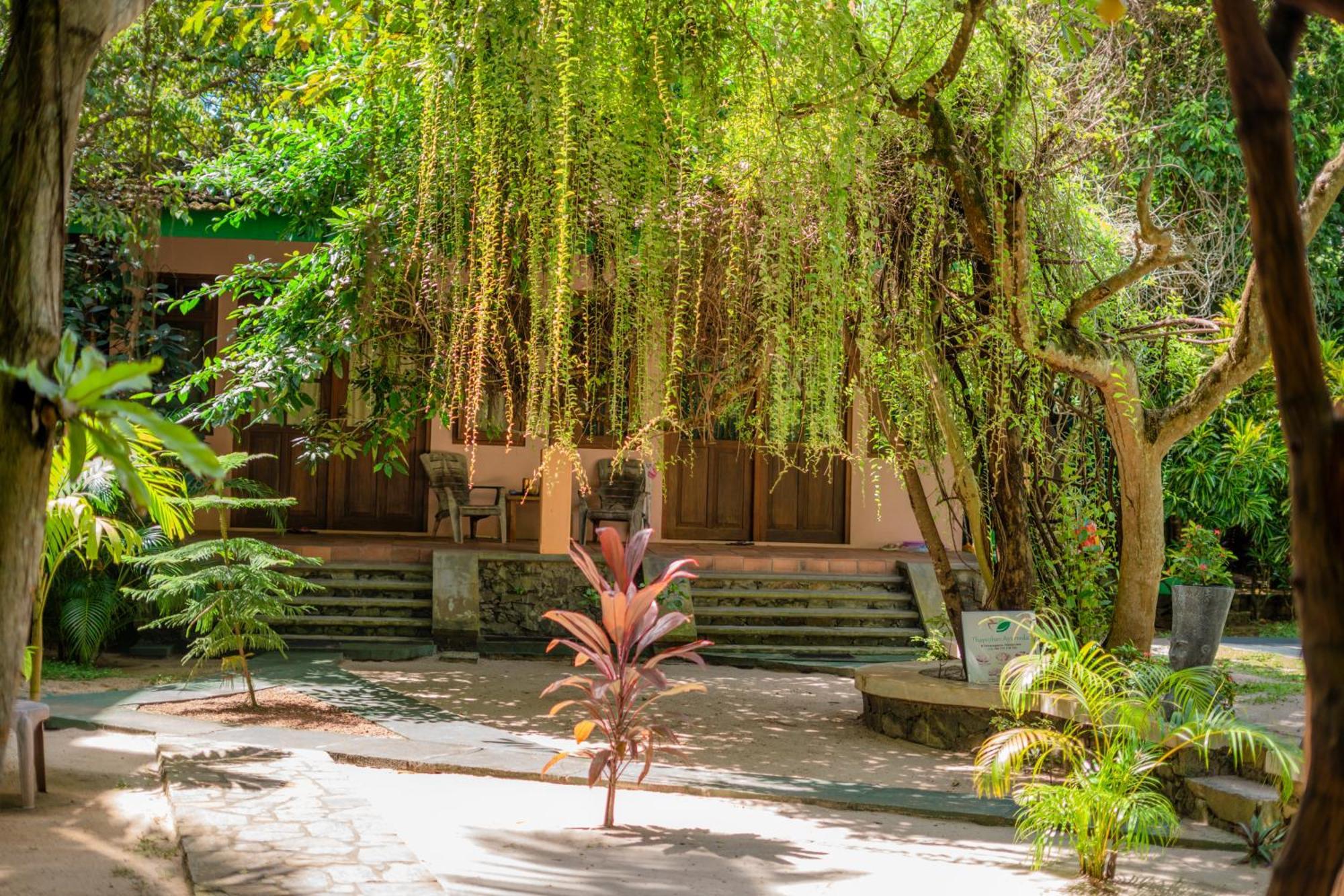 Monkey Villa Хиккадува Экстерьер фото
